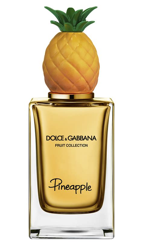 pineapple dolce gabbana|frangipani and pineapple perfume.